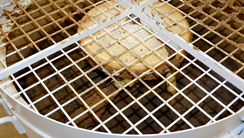 Blick in die Drehsiebmaschine