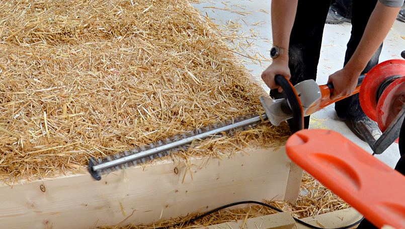 Glätten des überstehenden Strohs mit der Heckenschere