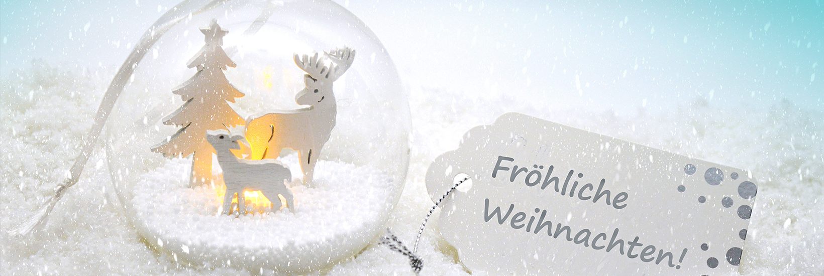 Fröhliche Weihnachten!